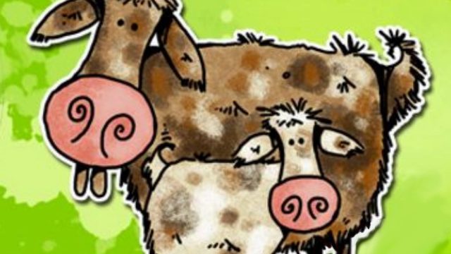 481215800_9608936212491142_55611003055131606_n