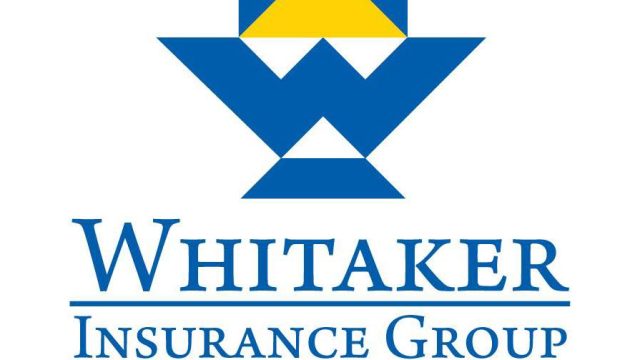 433295272_926927392461852_5651354953273659003_n