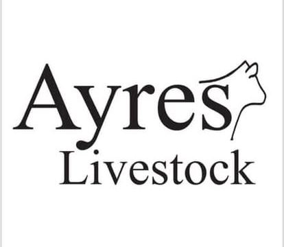 473769344_1083586473572118_606148369318338291_n