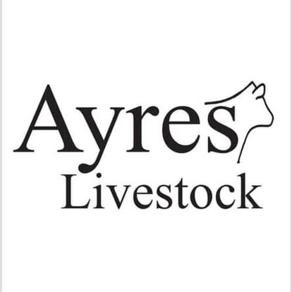 Ayres Livestock