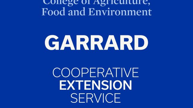 357347126_649474167206570_4828130701351836504_n